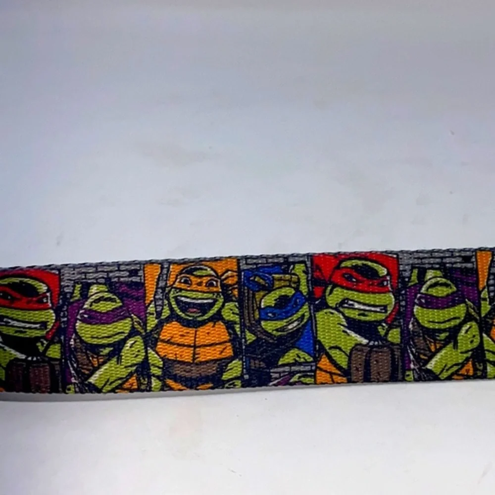 2014 Nickelodeon Teenage Mutant Ninja‎ Turtles Belt